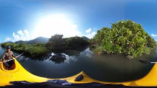 360°VR マングローブカヌーと森と滝のツアー