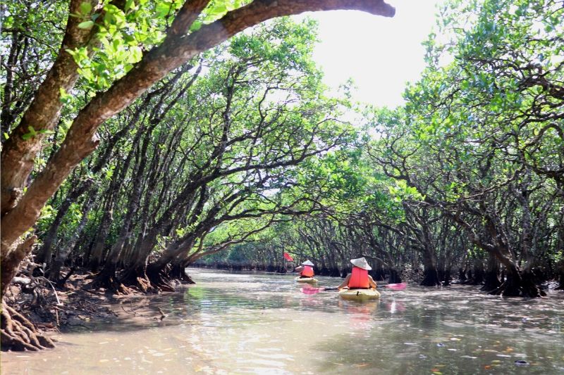 The Canoeing Tour in the Morning Calm and in the Evening Calm