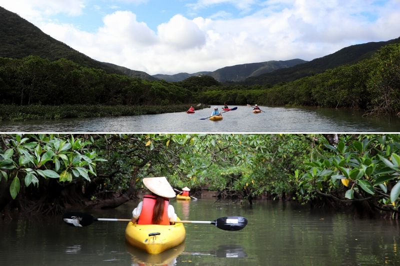 The Canoeing Tour in the Morning Calm and in the Evening Calm