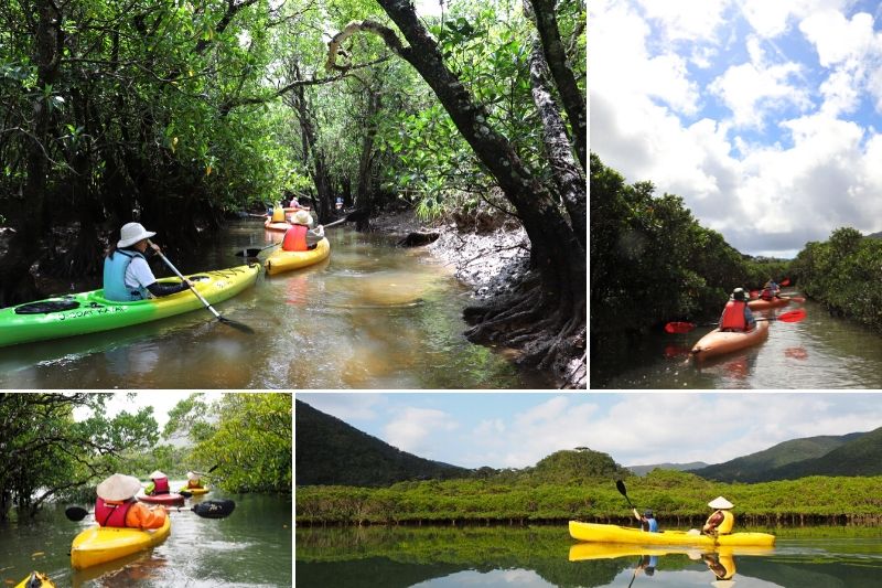 The Canoeing Tour in the Morning Calm and in the Evening Calm