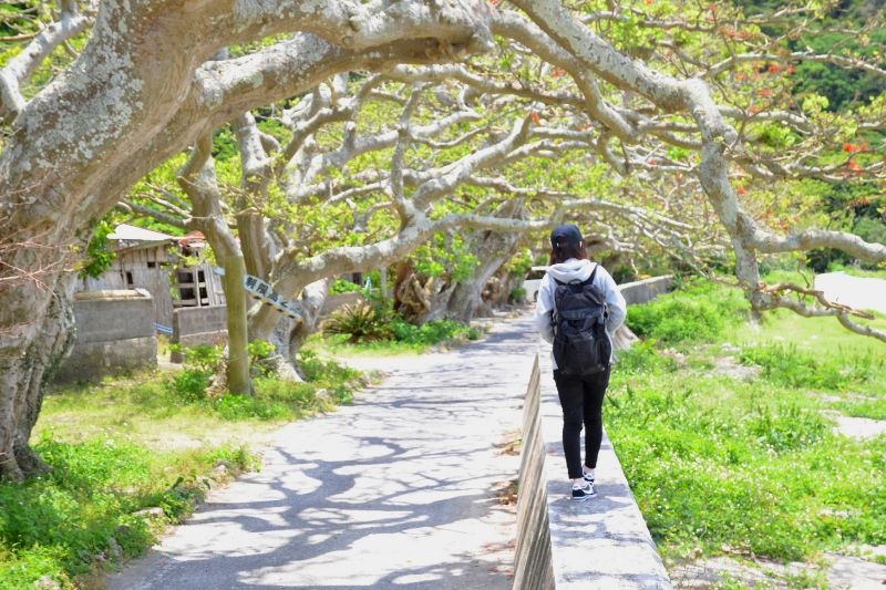 leisurely Tour in Kakeroma