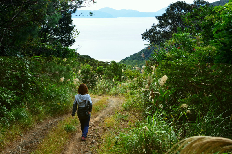 麻島 加計 呂