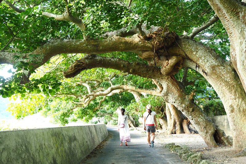 Kakeroma Island Trekking Tour