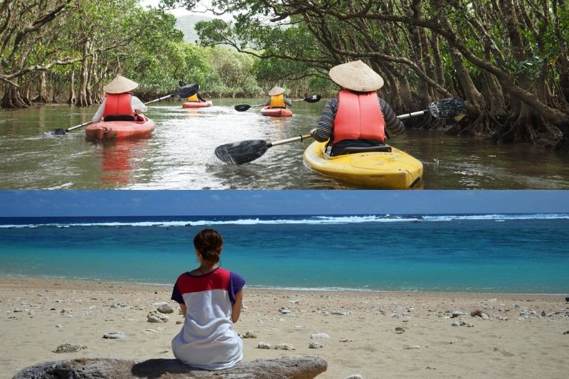 Mangrove Canoeing and the Kakeroma island Tour