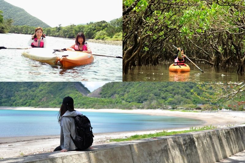 Mangrove Canoeing and the Kakeroma island Tour