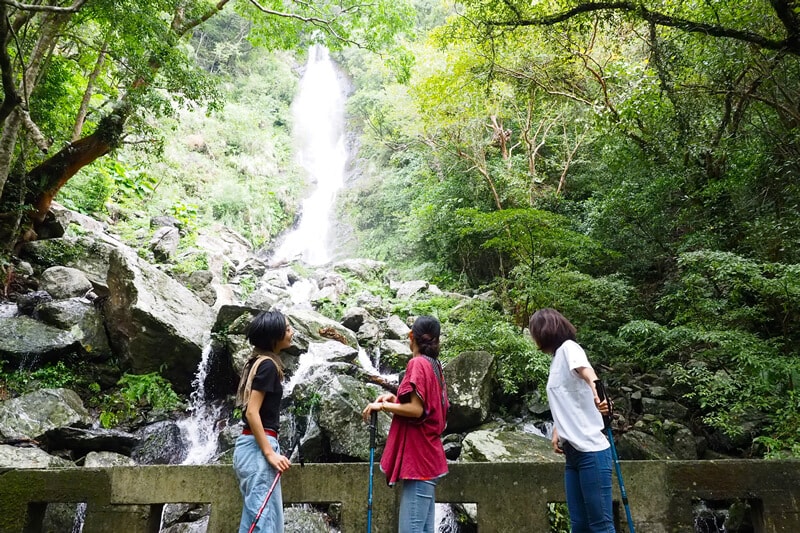 マングローブカヌーと森と滝のツアー