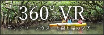 360°VR The Mangrove Canoeing, Forests and Fall Tour