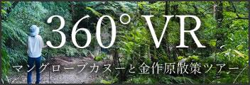 360°VR マングローブカヌーと金作原散策ツアー
