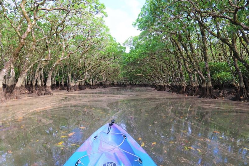 カヌー&金作原ツアー