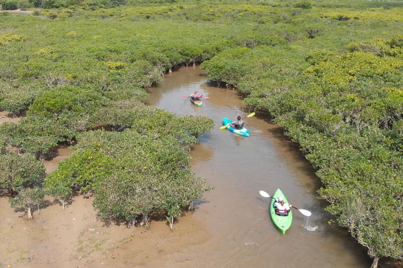 カヌー&金作原ツアー