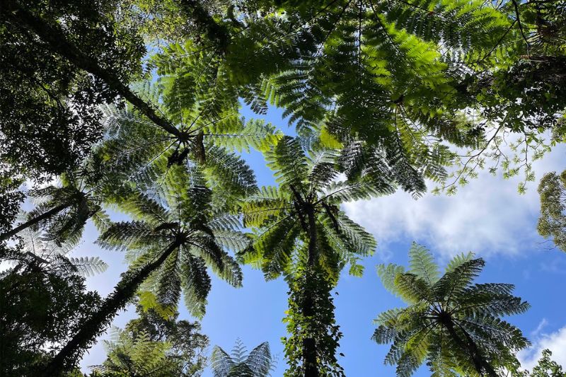 カヌー&金作原ツアー