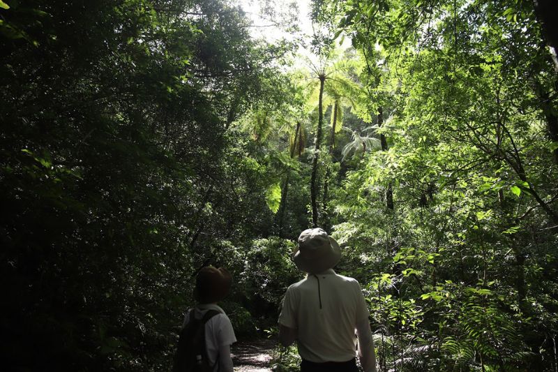 カヌー&金作原ツアー