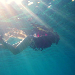 降り注ぐ光の世界へ