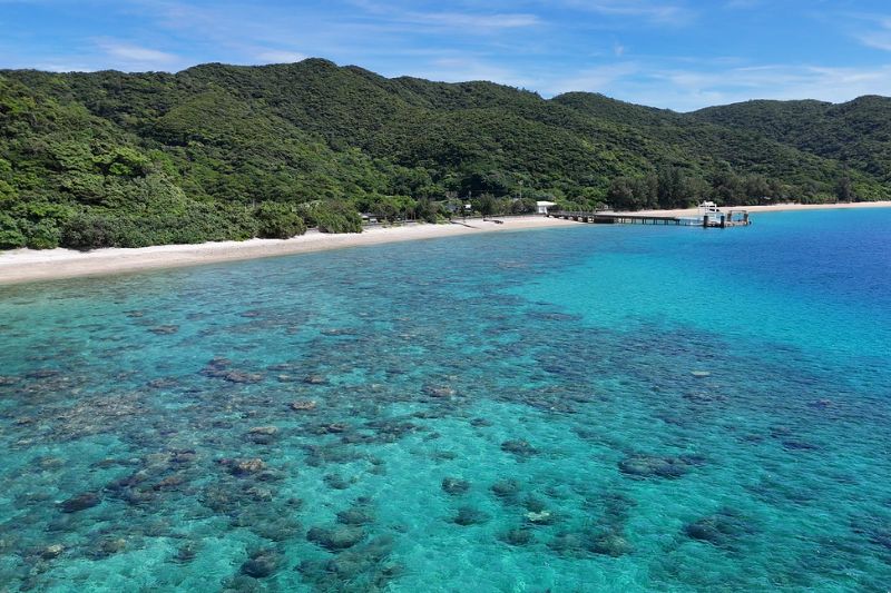 加計呂麻半日ツアー